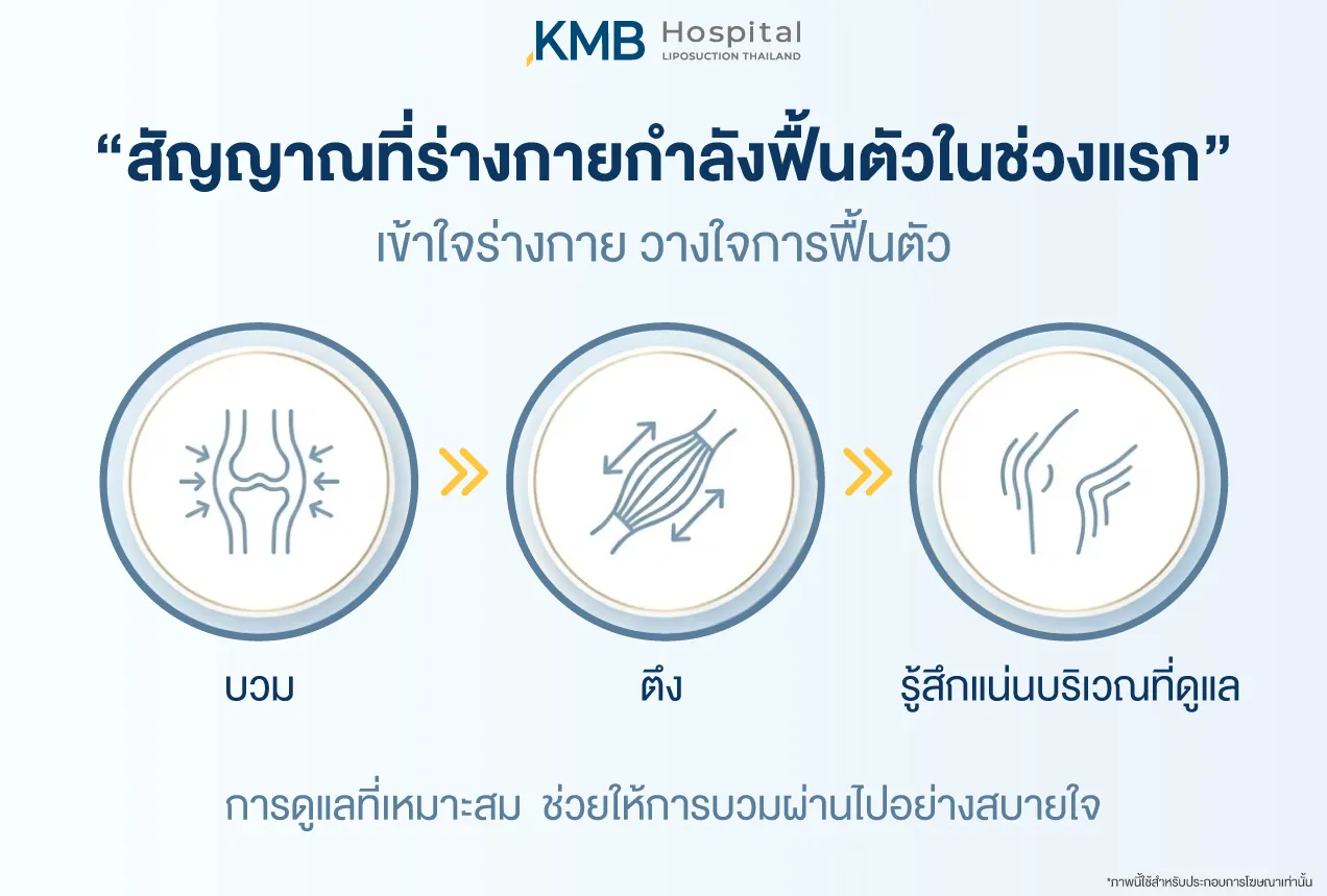 Early signs that the body is recovering after liposuction, including swelling, firmness, and tightness in the treated area, shown in a medical recovery infographic.