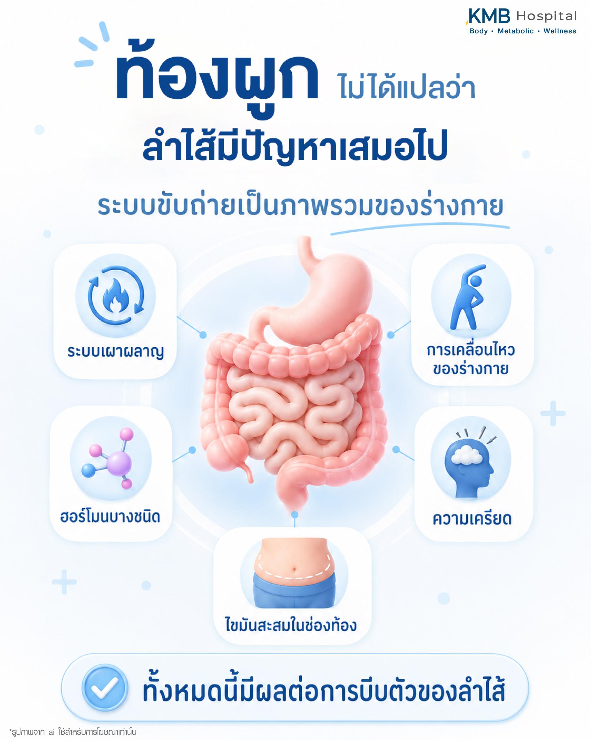 ท้องผูกไม่ได้แปลว่าลำไส้มีปัญหาเสมอไป แต่ระบบขับถ่ายอาจเกี่ยวข้องกับภาพรวมของร่างกาย เช่น ระบบเผาผลาญ การเคลื่อนไหว ฮอร์โมนบางชนิด ความเครียด และไขมันสะสมในช่องท้อง ซึ่งอาจมีผลต่อการบีบตัวของลำไส้