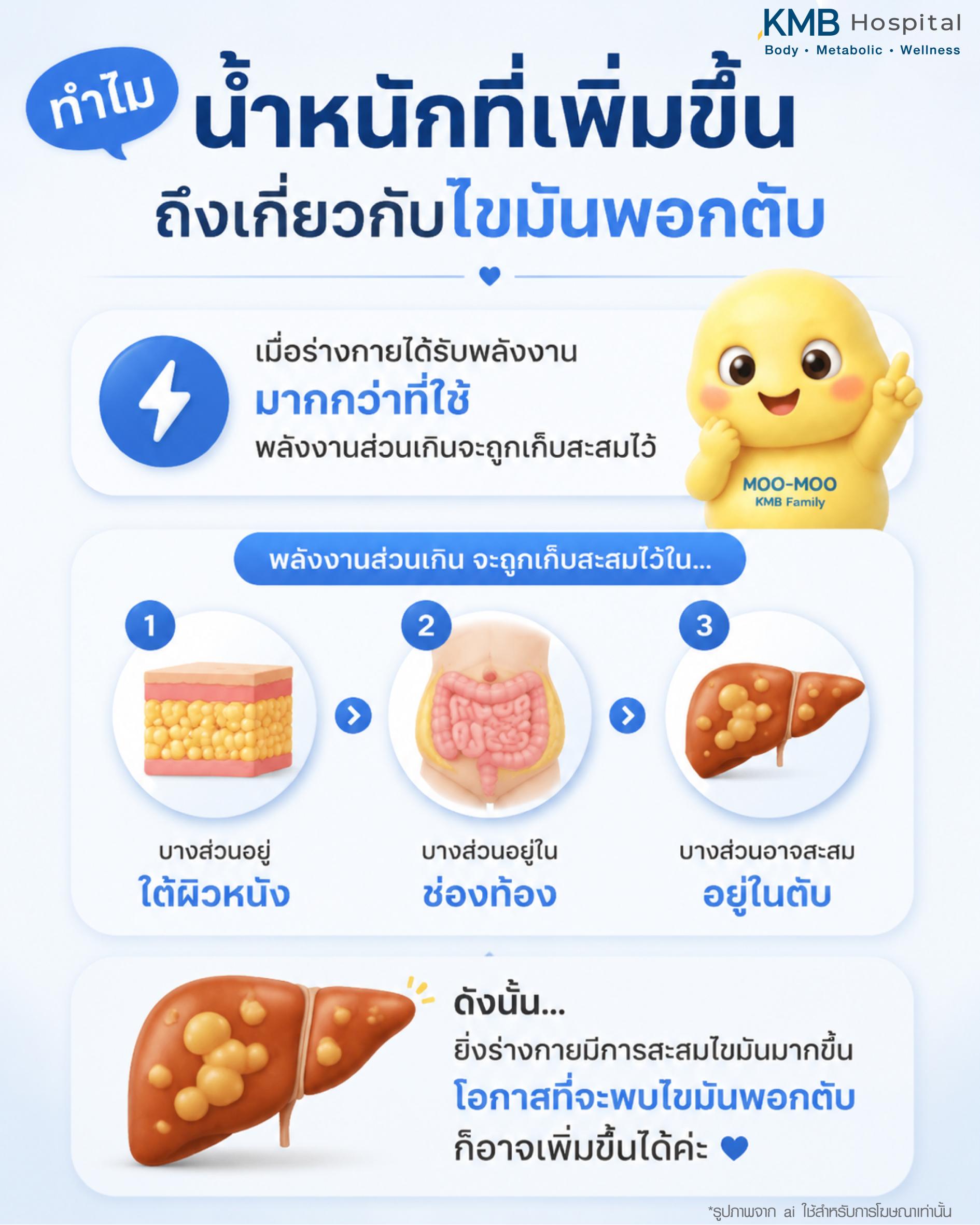 ไขมันพอกตับเริ่มต้นจากการสะสมไขมันในร่างกายที่ค่อย ๆ เพิ่มขึ้น โดยมักเกี่ยวข้องกับไขมันในช่องท้อง ระบบเผาผลาญ และการจัดการพลังงานของร่างกาย ซึ่งอาจนำไปสู่ภาวะไขมันพอกตับในระยะต่อมา
