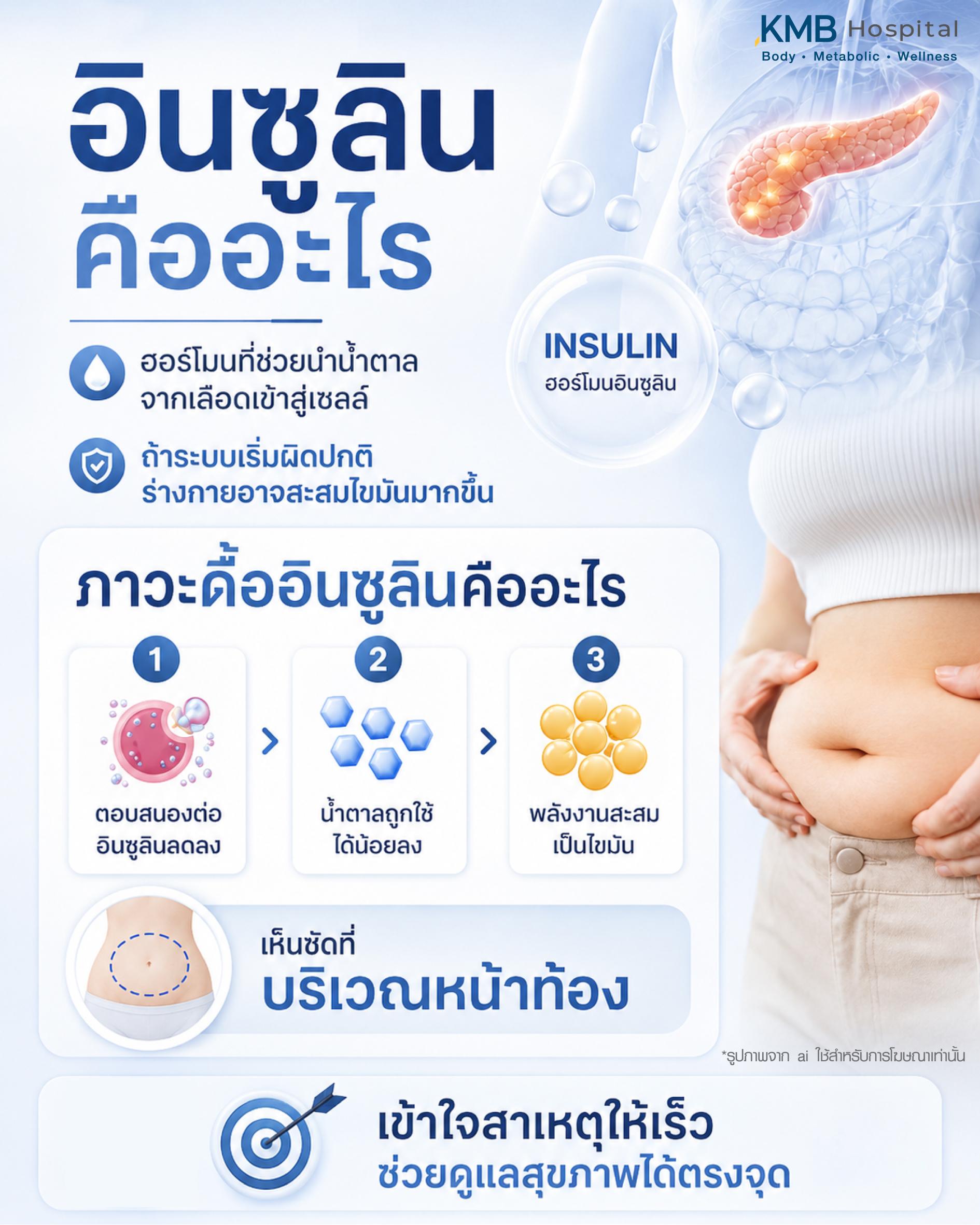 อินซูลินคืออะไรและเกี่ยวข้องกับอ้วนลงพุงอย่างไร อธิบายบทบาทของฮอร์โมนอินซูลินในการควบคุมระดับน้ำตาลในเลือด การสะสมไขมันบริเวณหน้าท้อง และภาวะดื้ออินซูลินในระบบเผาผลาญของร่างกาย