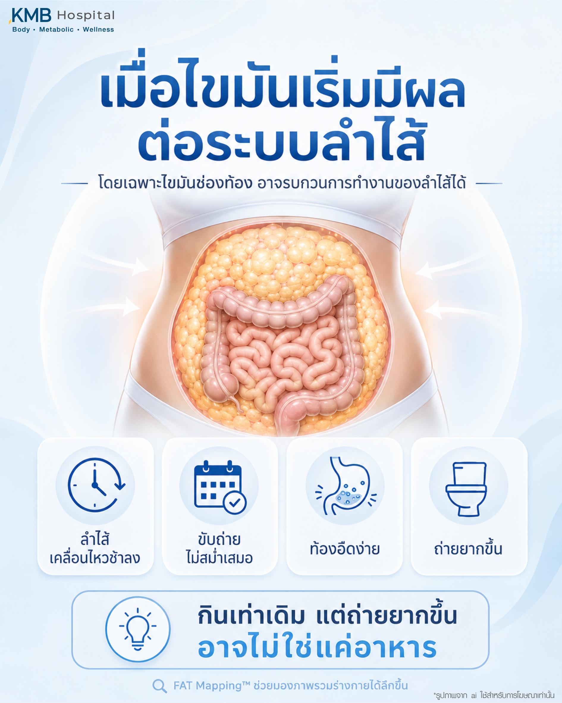 เมื่อไขมันเริ่มมีผลต่อระบบลำไส้ โดยเฉพาะไขมันช่องท้อง อาจรบกวนการทำงานของลำไส้ ทำให้ลำไส้เคลื่อนไหวช้าลง ขับถ่ายไม่สม่ำเสมอ ท้องอืดง่าย และถ่ายยากขึ้น แม้กินอาหารเหมือนเดิม จึงควรมองภาพรวมของร่างกายร่วมด้วย