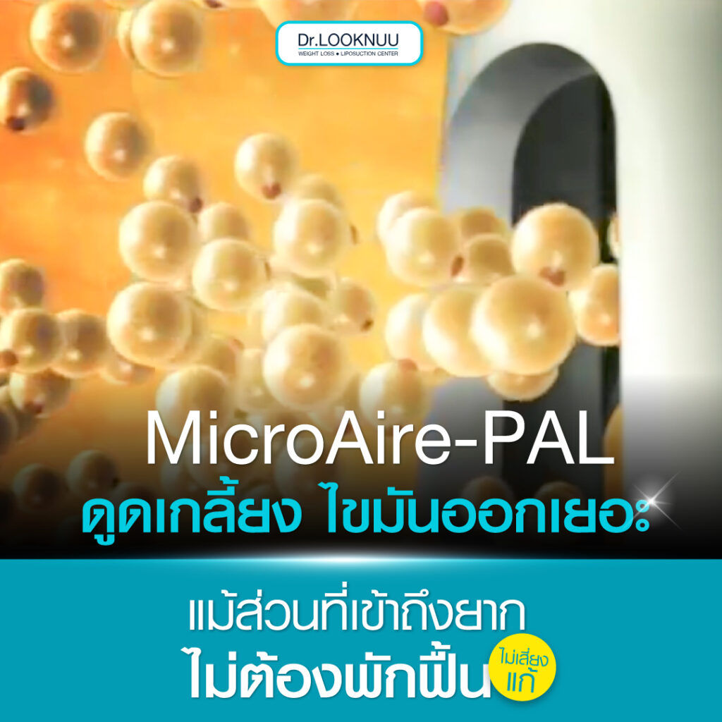 Microaire PAL